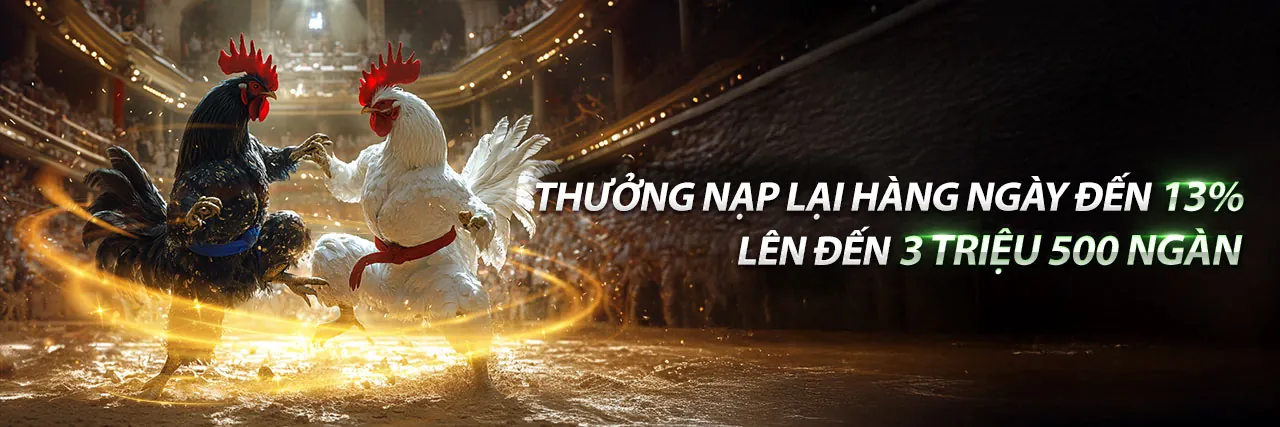 Hoàn trả tiền mặt hàng tuần/tháng